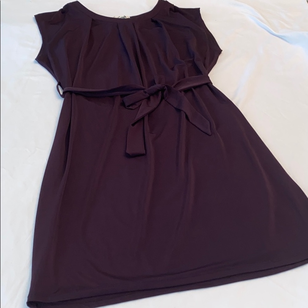 Beautiful Paraella Deep plum dress - Picture 3 of 6